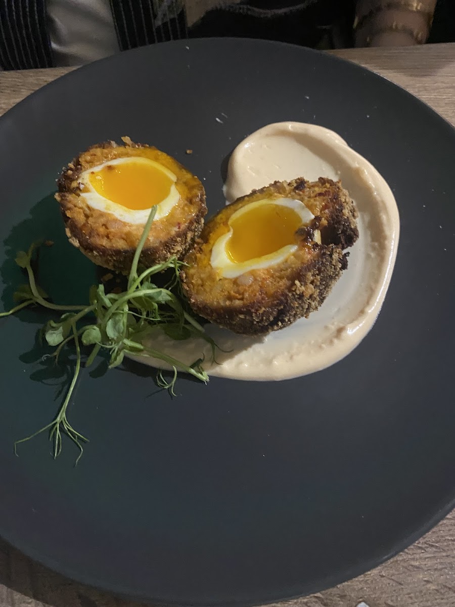 Spent Grain - Sunderland Photos 2